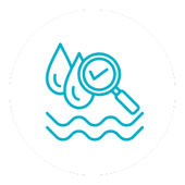 Water quality