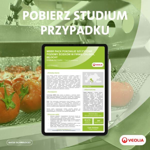 PL_CASE STUDY (600 x 600 px) – CALISPA