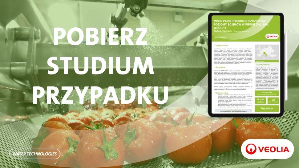 PL_CASE STUDY_CALISPA